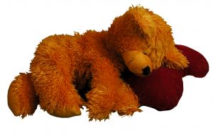 sleeping teddy
